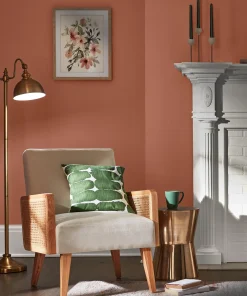 Deep Clay Red